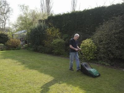 Hvordan å holde gresset sunt. Når klippe plenen la gresset minst 2-3 inches tall.
