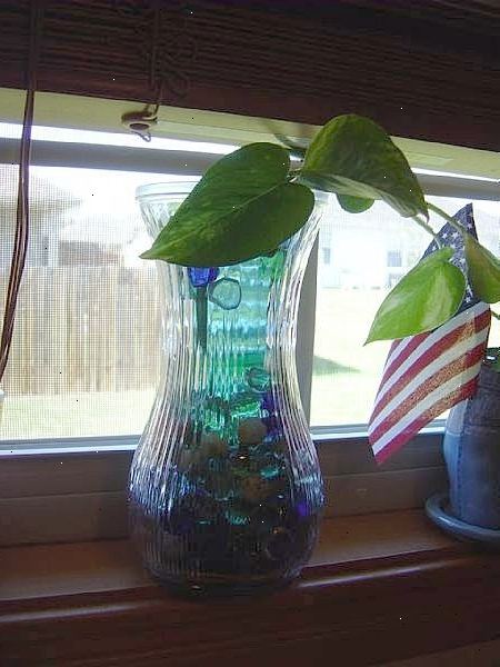 Hvordan lage en resirkulert glass vindu plante rooter. Få den store vasen og den lille vasen.