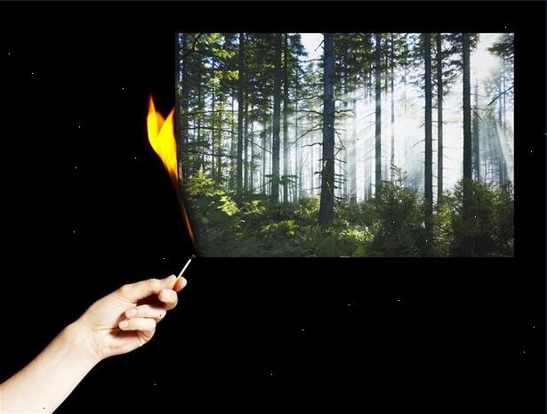 Hvordan man kan forebygge skogbranner. Vite når brann sesongen vanligvis oppstår.